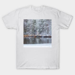 Snowing at the lake T-Shirt